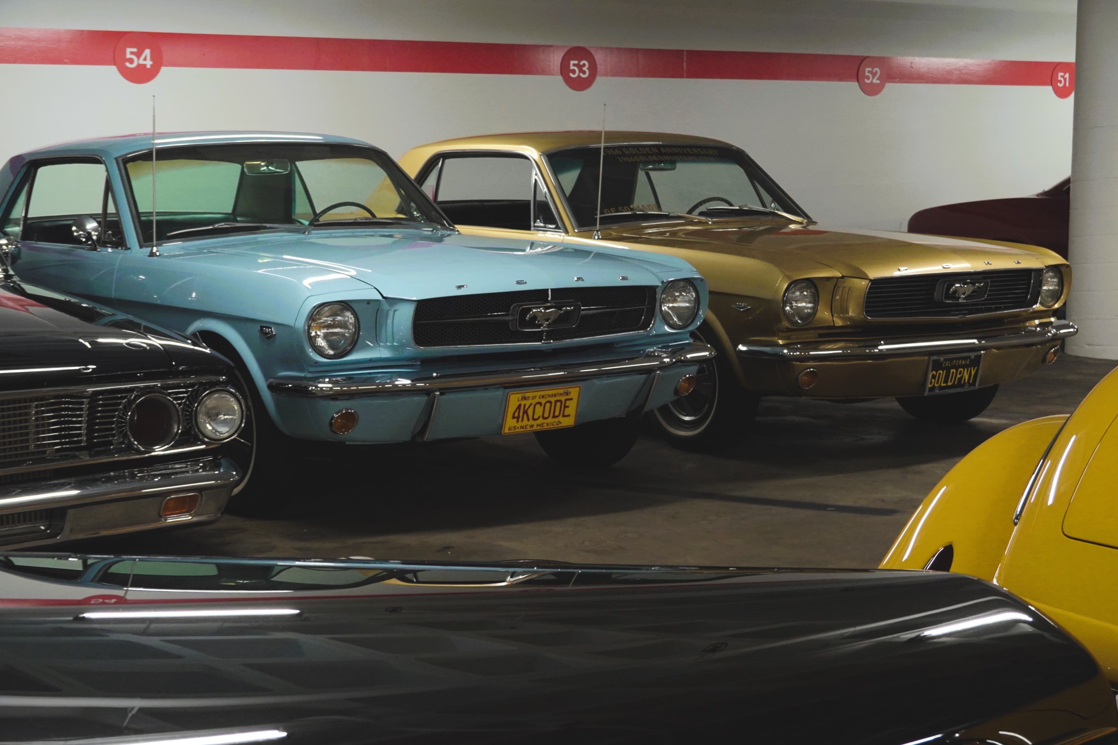 Cars photo