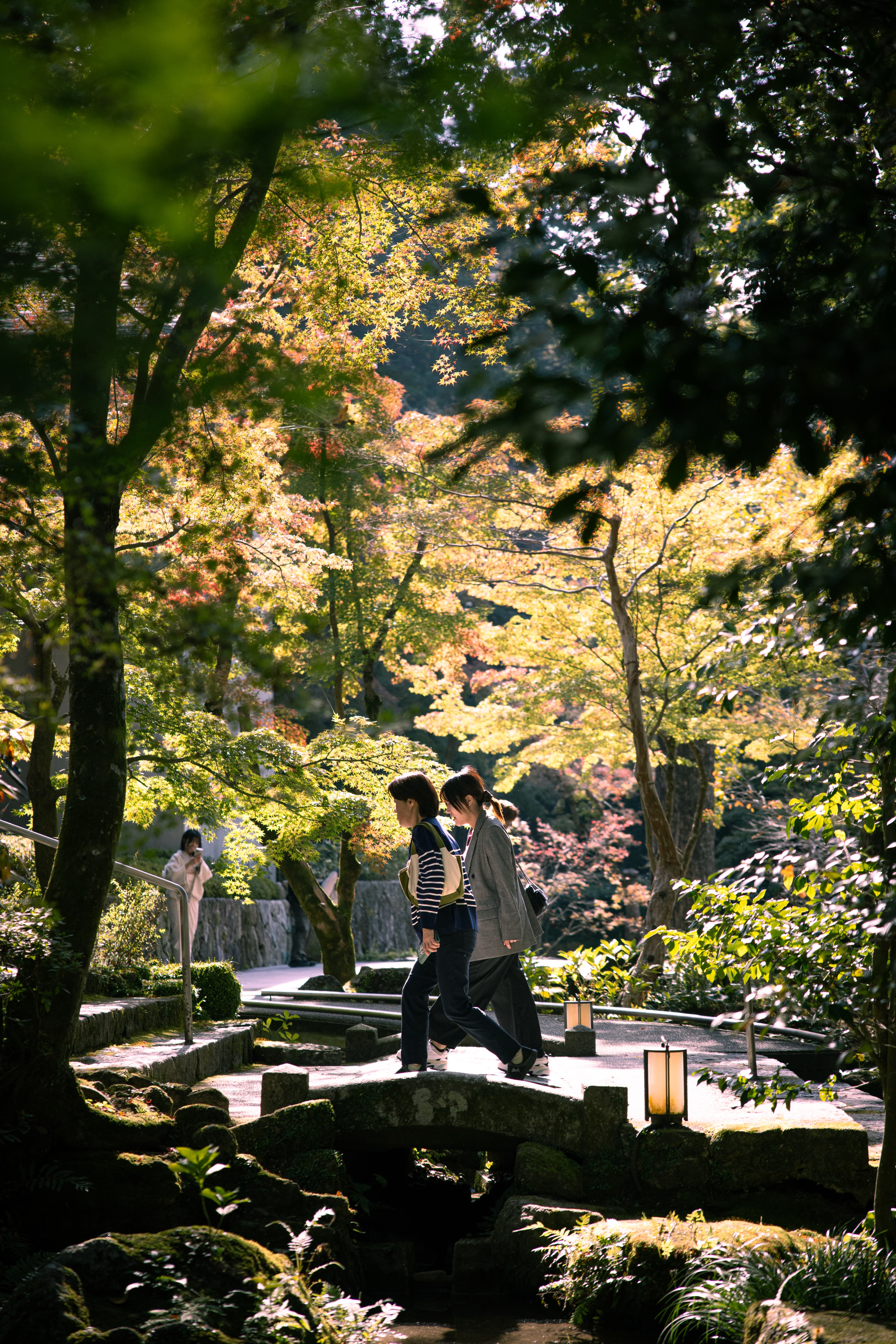 Japan photo