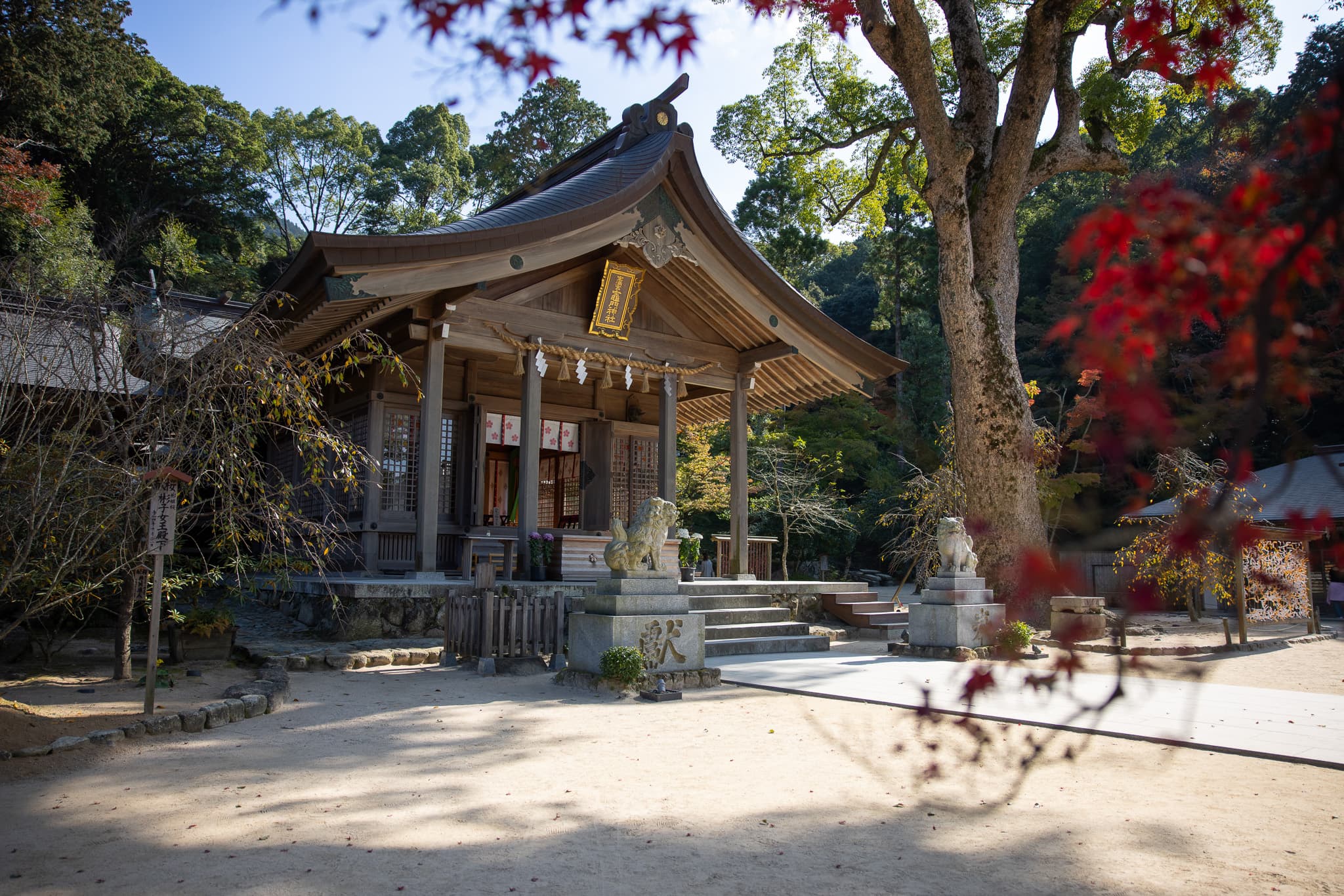 Japan photo