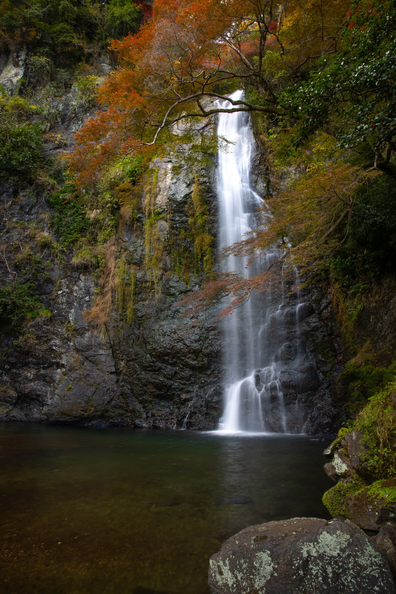 Japan photo