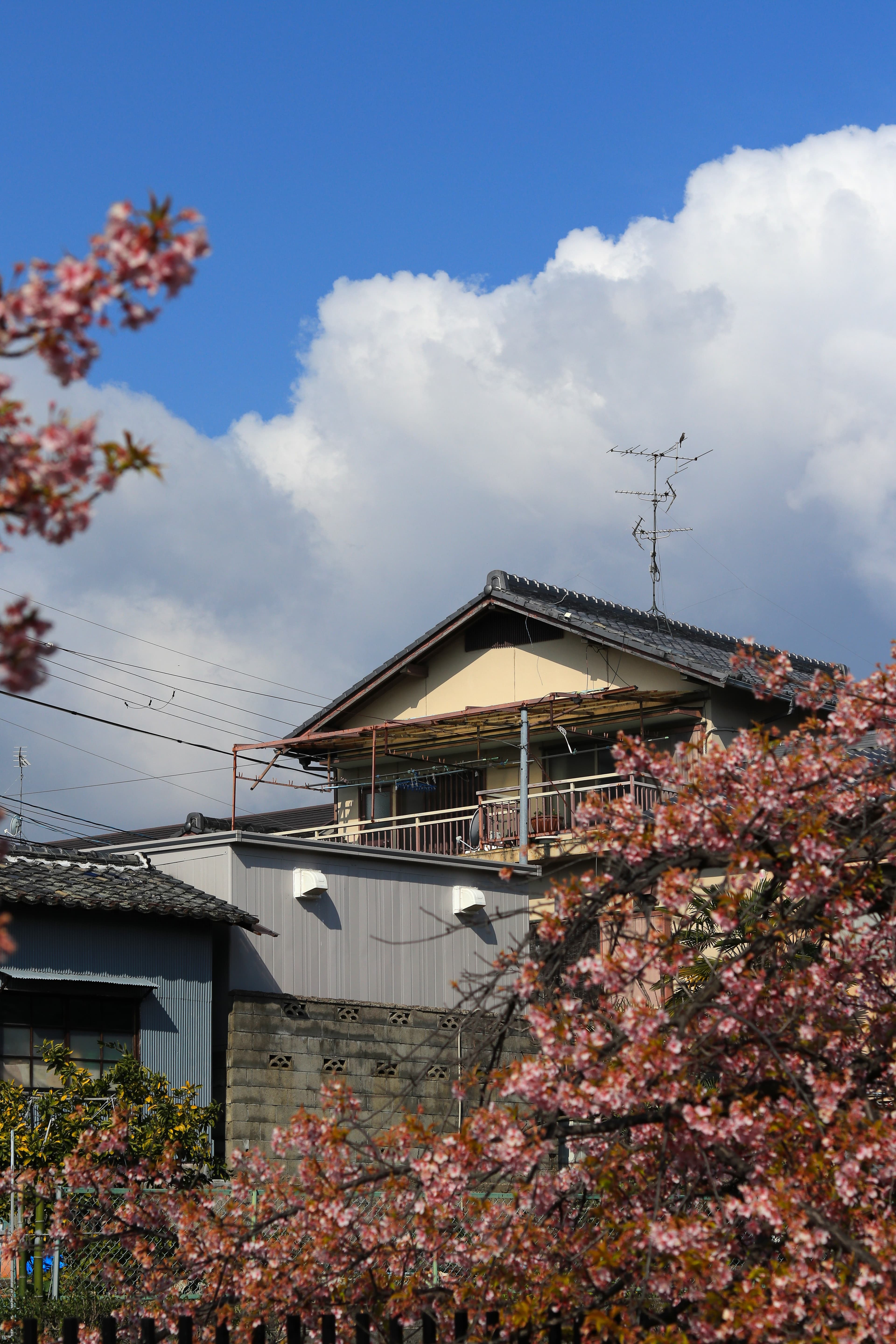 Japan photo