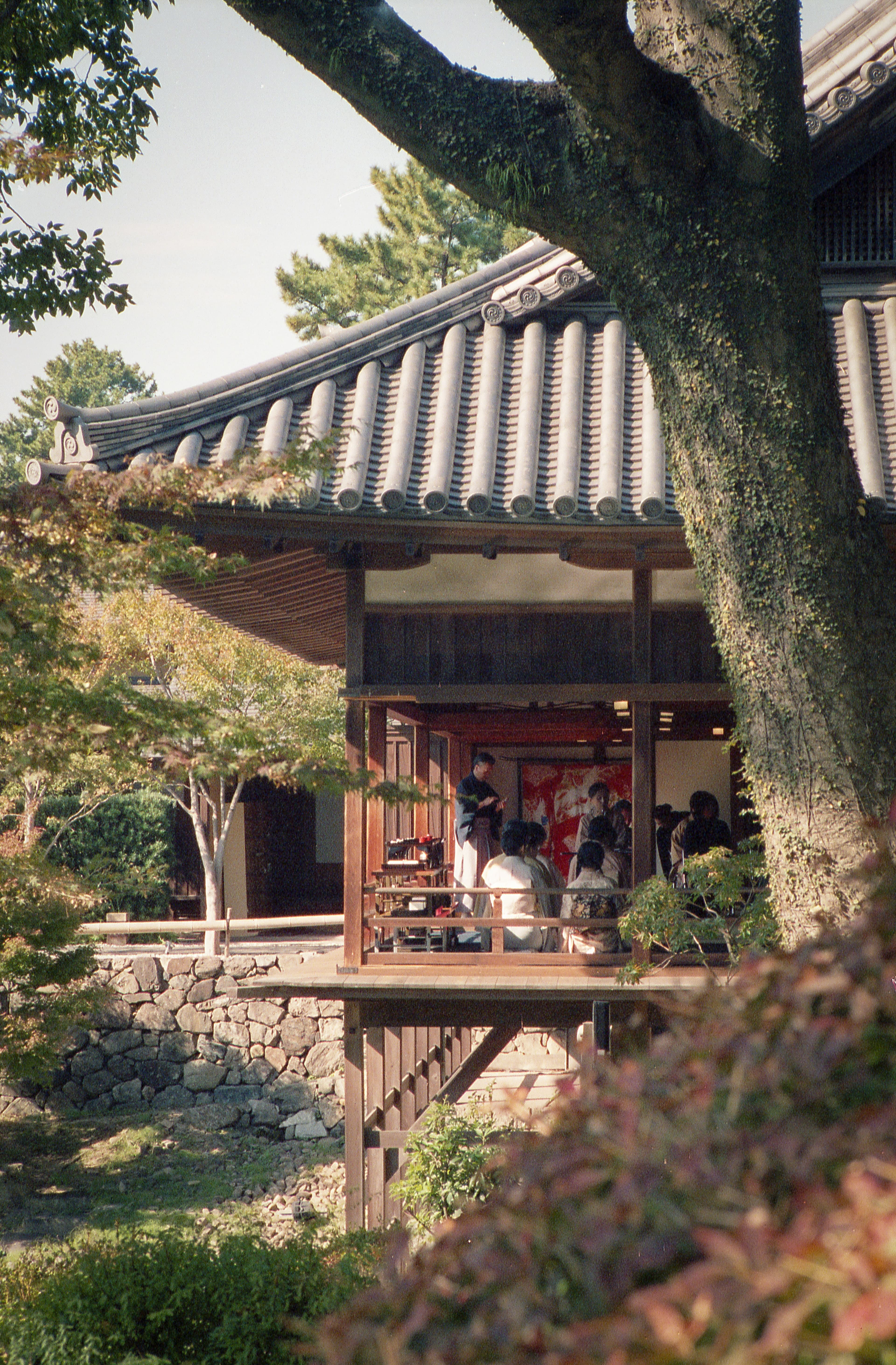 Japan photo
