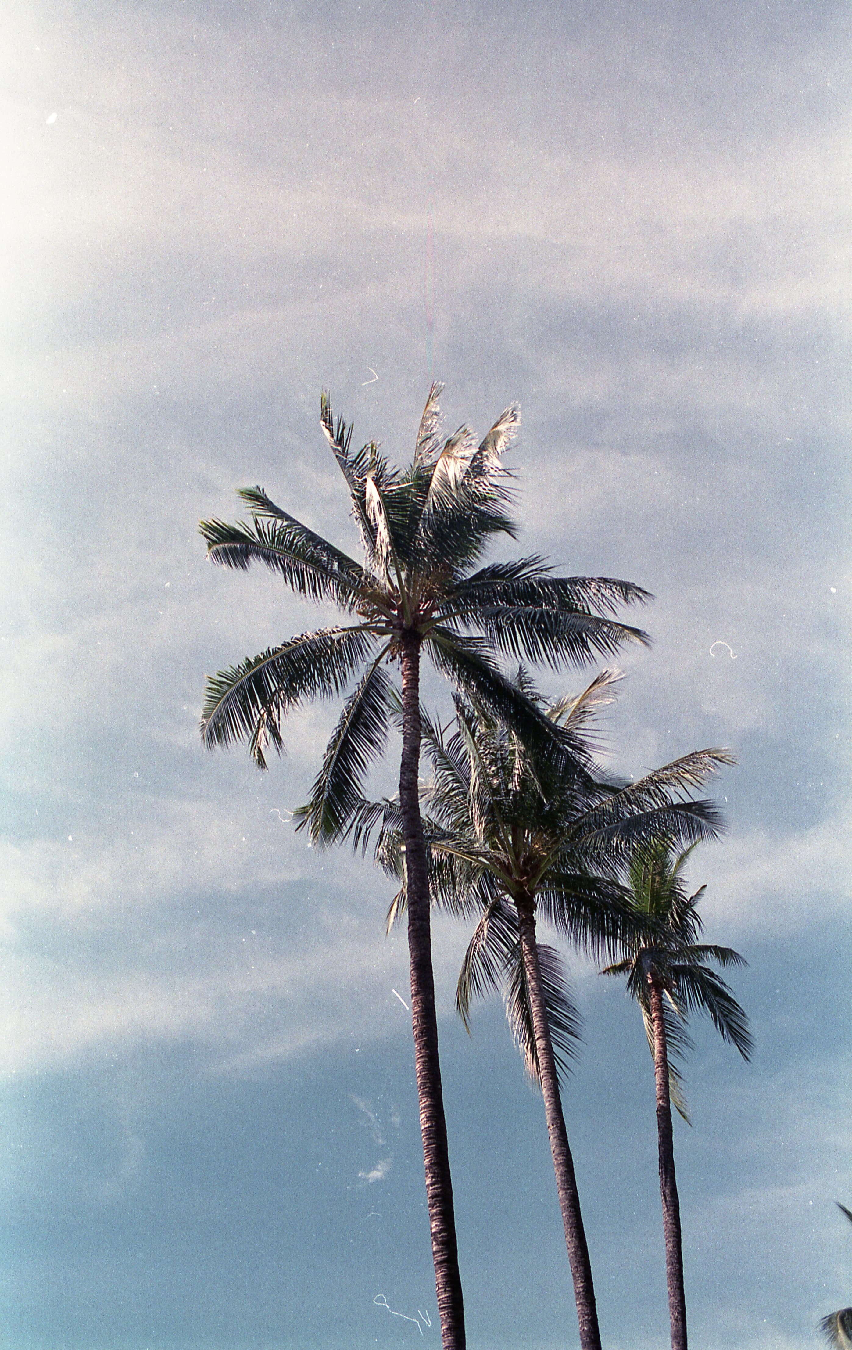 Outdoors photo