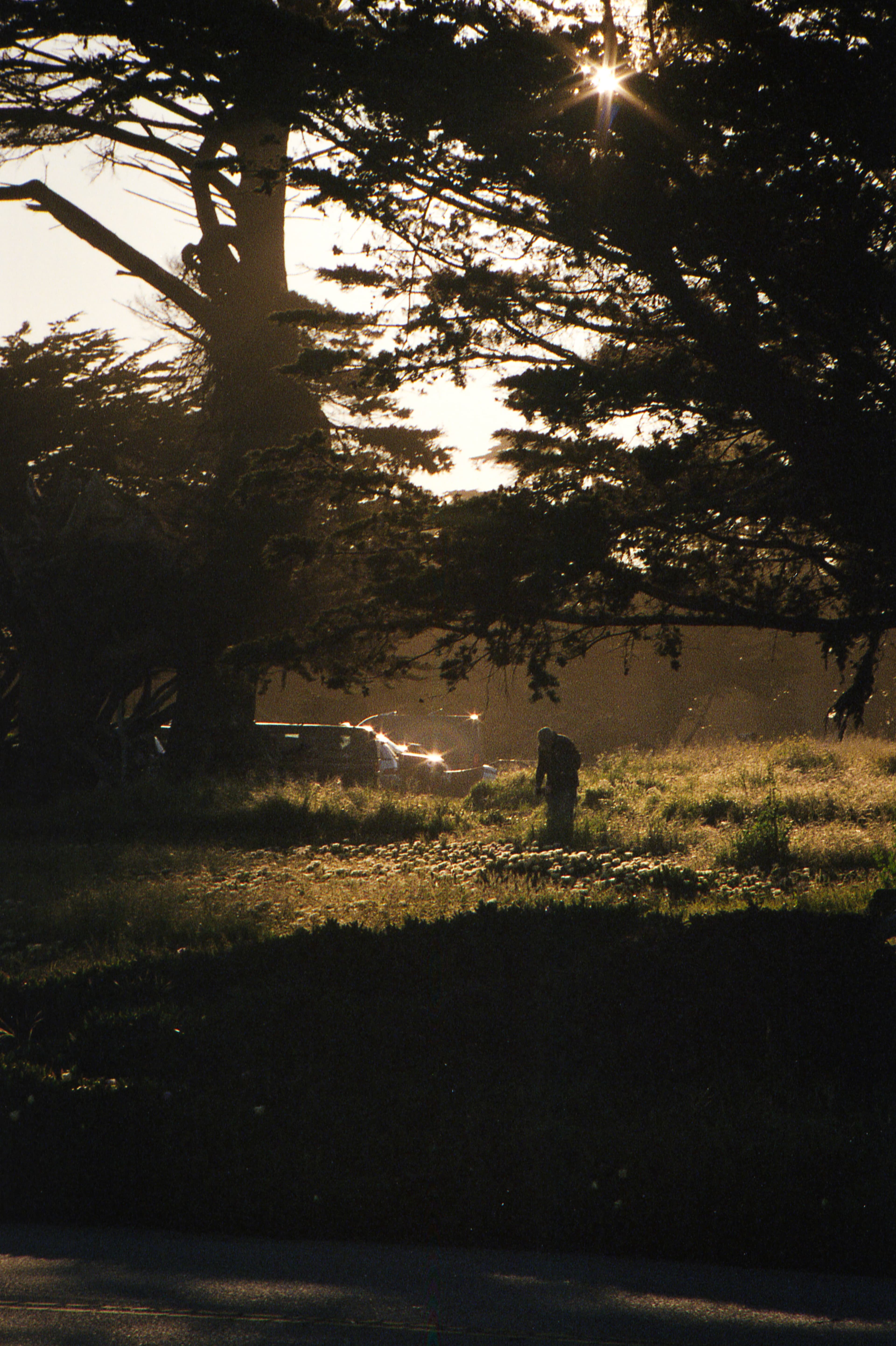 Stills photo