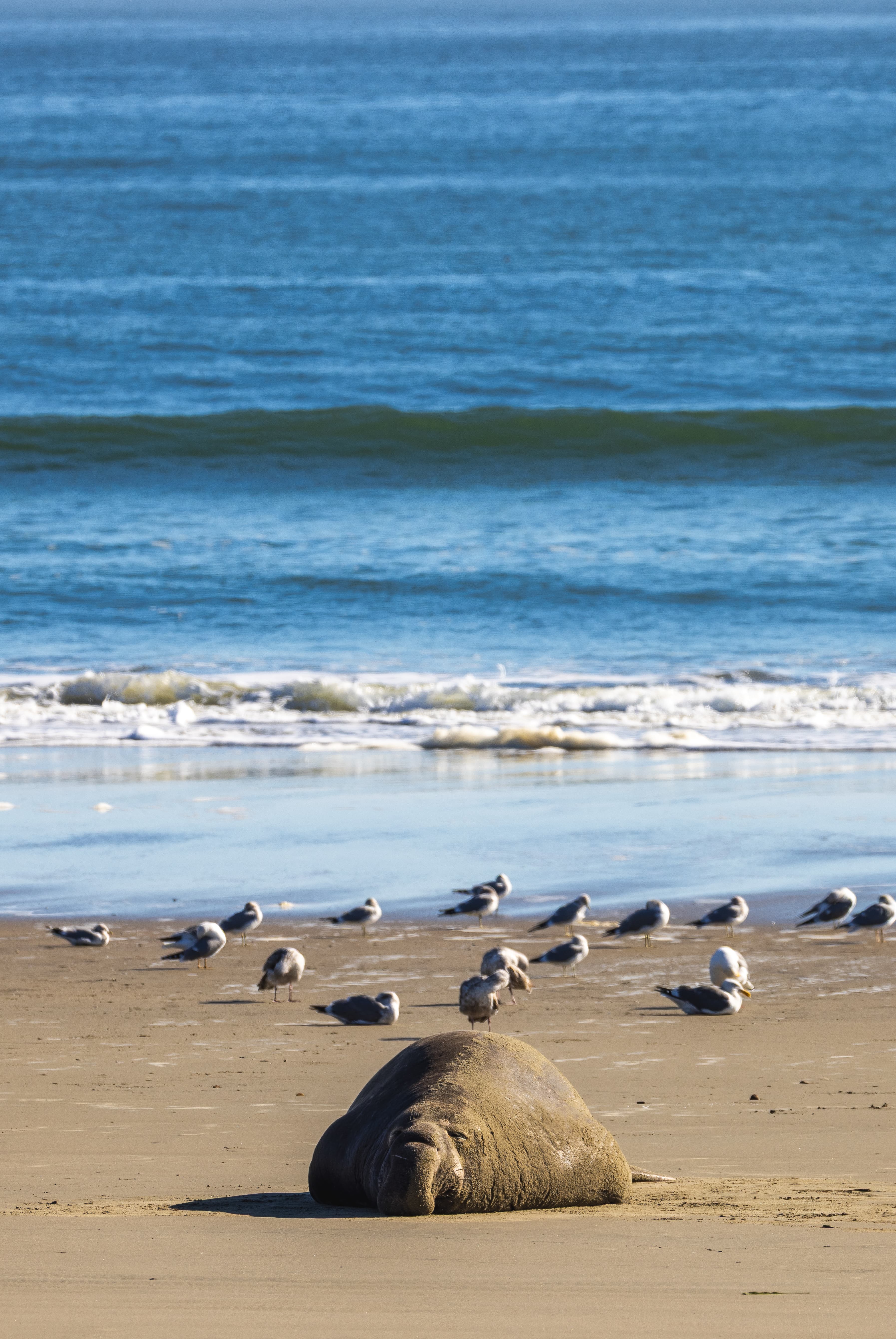 Wildlife photo