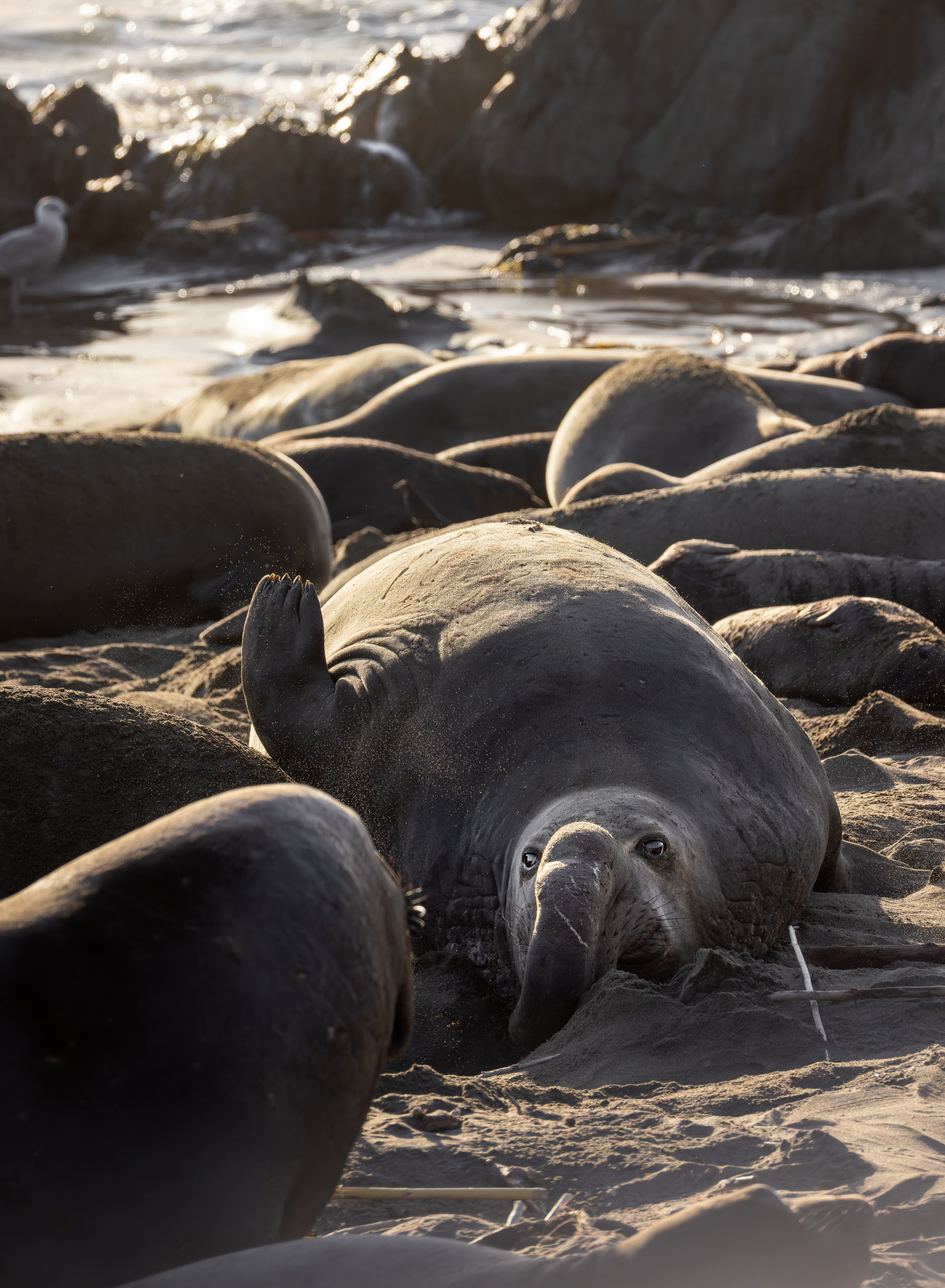 Wildlife photo