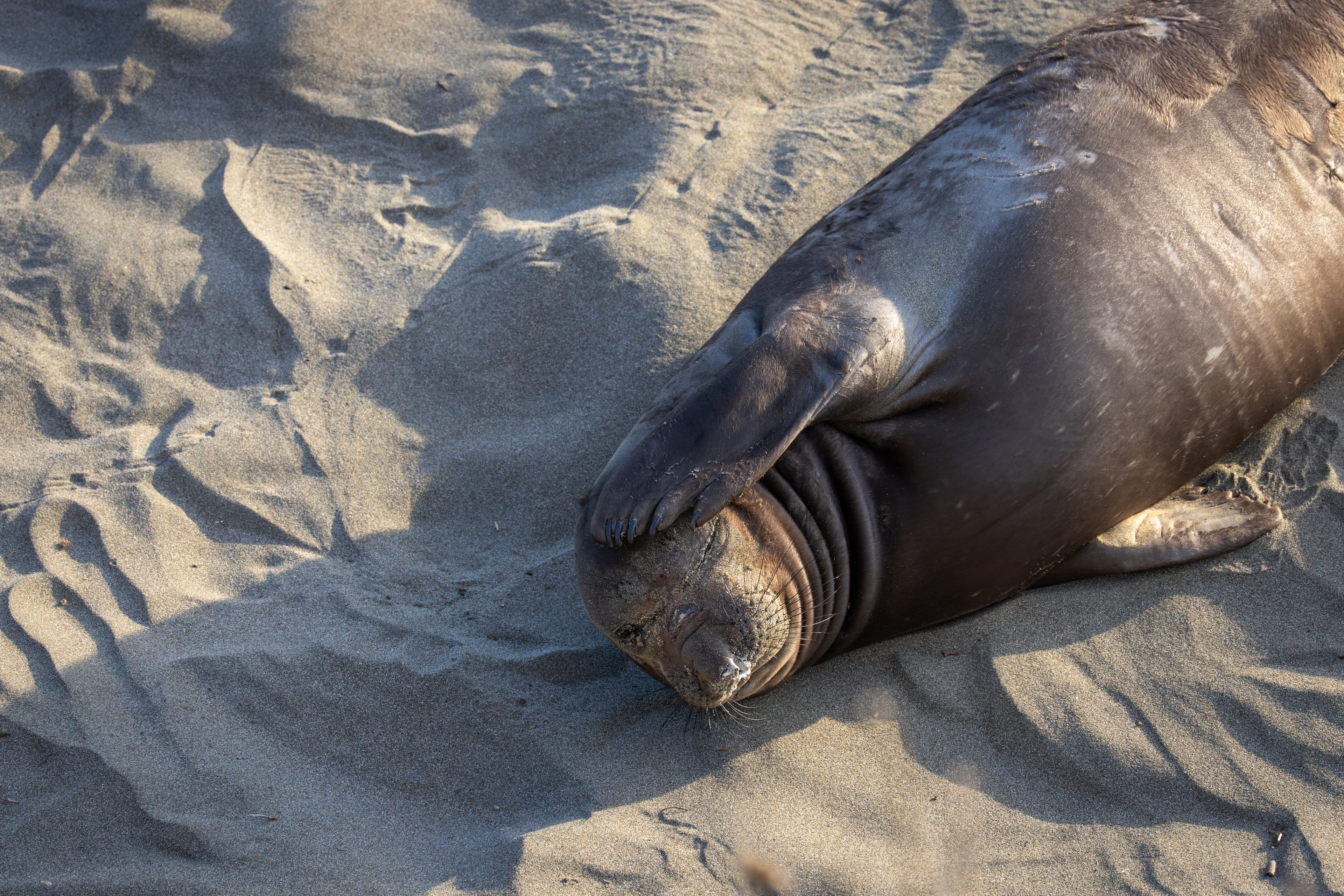Wildlife photo