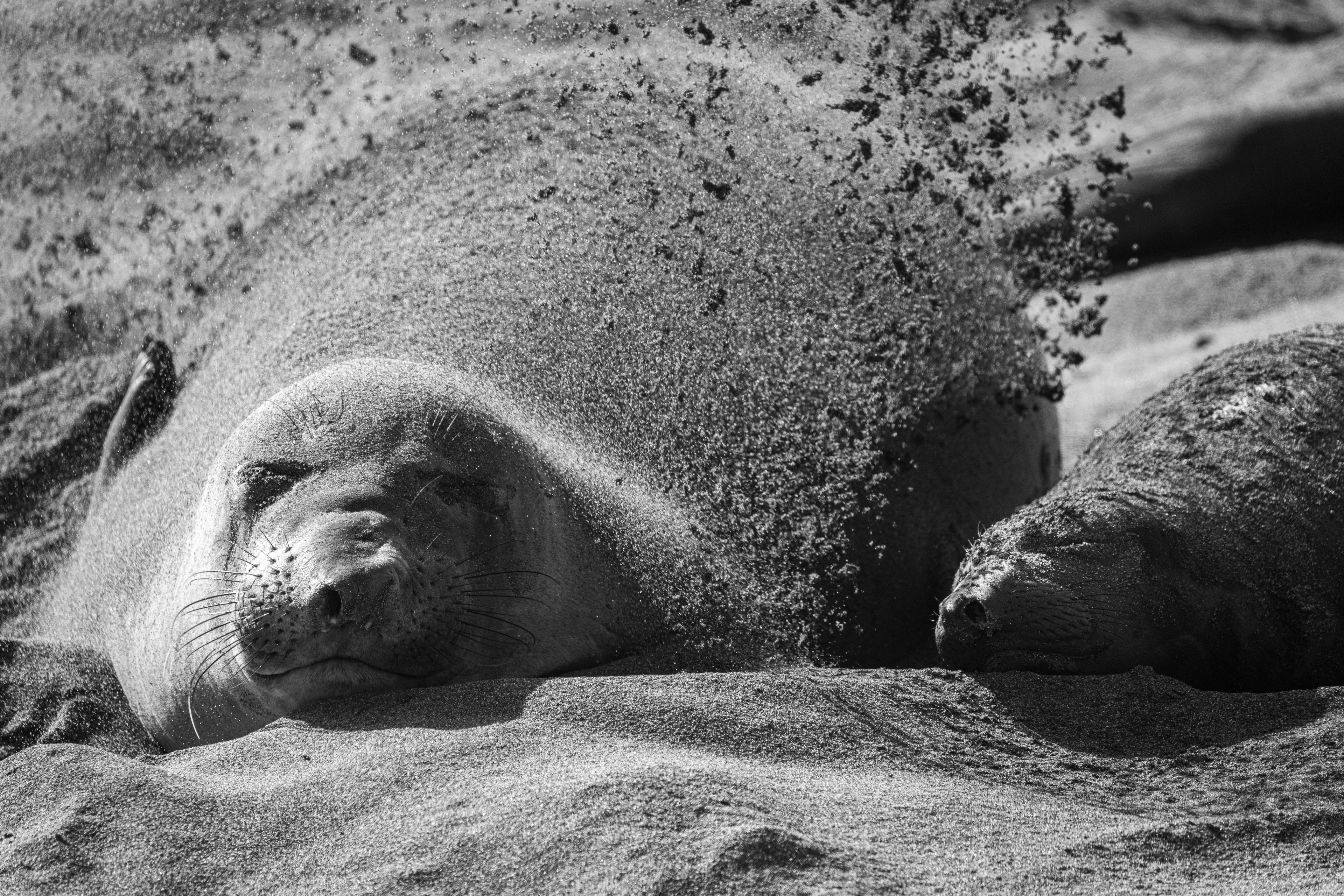 Wildlife photo